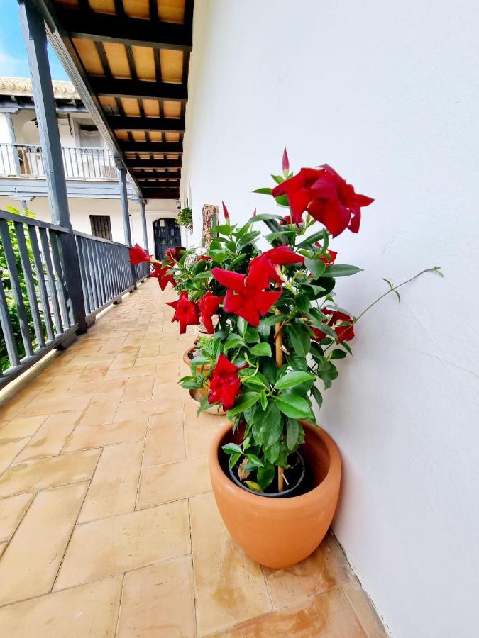 Apartamento Con Patio Sevillano エクステリア 写真