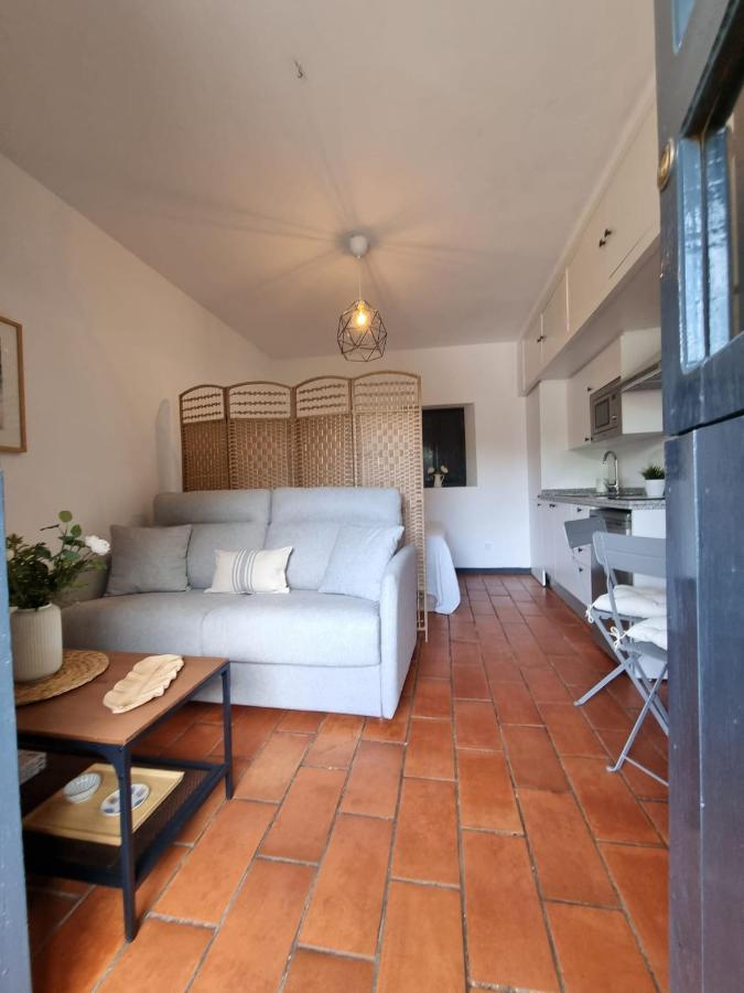 Apartamento Con Patio Sevillano エクステリア 写真
