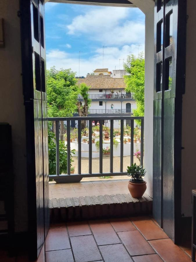 Apartamento Con Patio Sevillano エクステリア 写真
