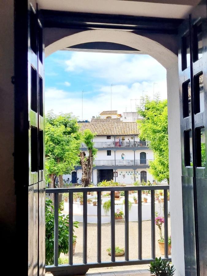 Apartamento Con Patio Sevillano エクステリア 写真