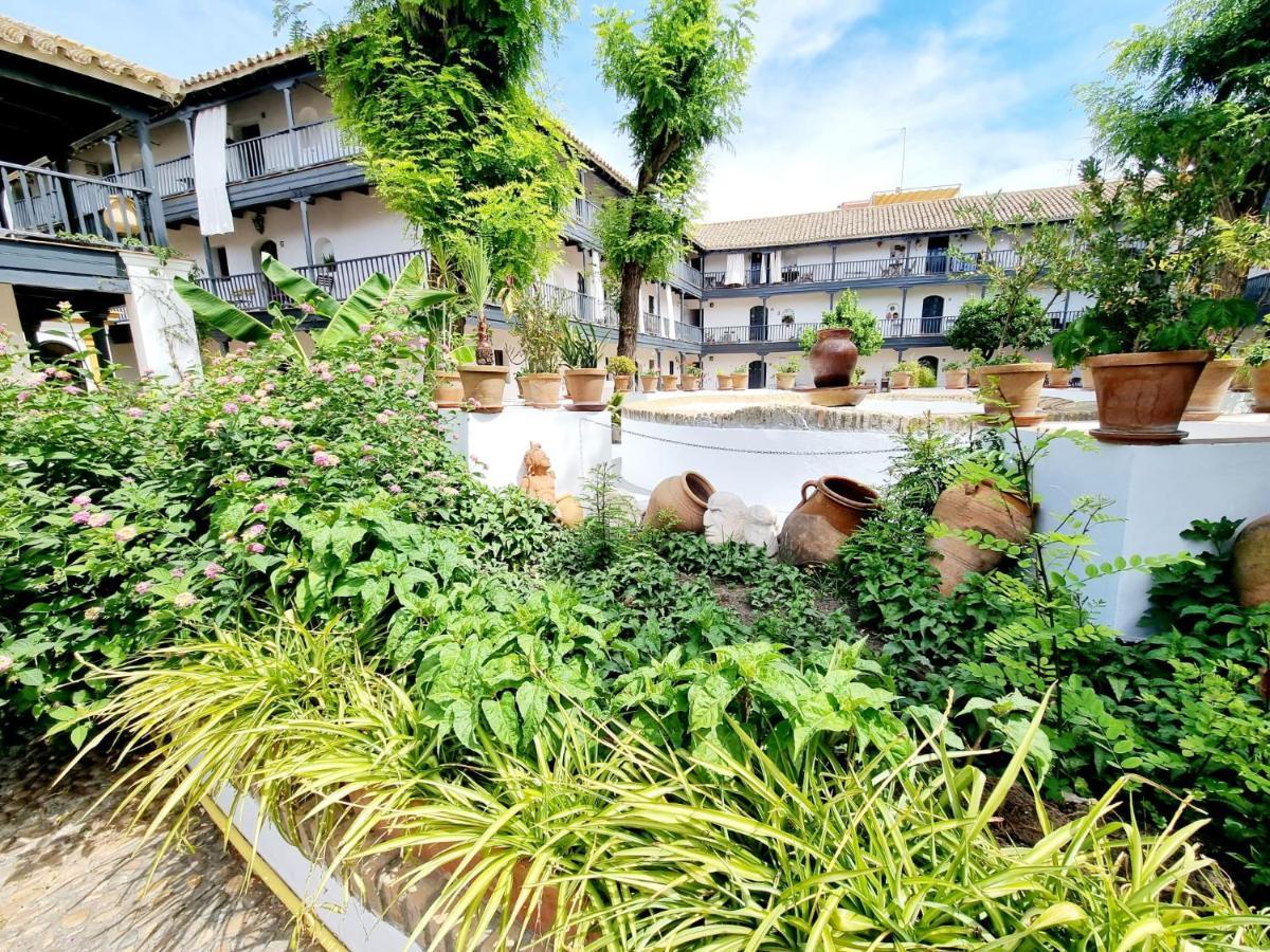 Apartamento Con Patio Sevillano エクステリア 写真